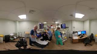 Endoscopy List Management & Non-Technical Skills - FULL