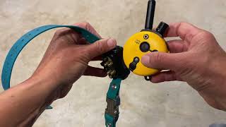 How to pair an ET 300 ecollar to a new remote (or vice versa)