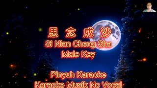 Si Nian Cheng Sha (( 思念成沙 )) - Karaoke - Musik No Vocal