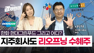 리오프닝(경제재개) 수혜 볼 알짜 지주회사는 어디? 지주회사 투자 포인트 총정리 / 허란의 경제한끼 / 이상헌 하이투자증권 부장