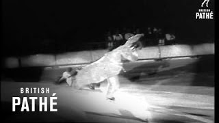 Ice Capades (1957)