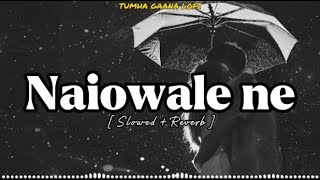Nainowale ne | Padmaavat | Slowed + Reverb | Hindi lofi song 2022 @tumharagaanalofi