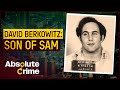 The Son Of Sam Killer's Descent Into Darkness | David Berkowitz: Born To Kill? | Absolute Crime