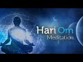 gurudev sri sri ravishankar s hari om meditation