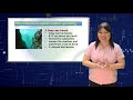 grade 11 u0026 12 earth science seafloor spreading theresa reyes q2 w5