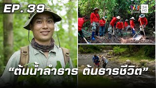 สารคดีชุด ก้าวเพื่อชัยชนะ ตอน ต้นน้ำลำธาร ต้นธารชีวิต | EP.39