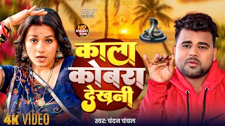 #Video | काला कोबरा देखनी | #Chandan Chanchal | Ft. Soumya Pandey | New Bhojpuri Song 2025