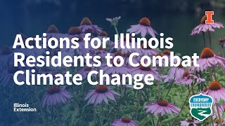 Actions for Illinois Residents to Combat Climate Change, Everyday Environment