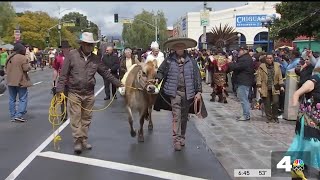 Olvera Street hosts annual animal blessing