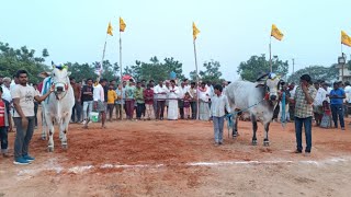 పొట్లపాడు న్యూ క్యాటగిరి 4వ జత తనుబొద్ది రవి శంకర్ రెడ్డి గారు*ఉప్పమాగుళూరు గ్రామం ప్రకాశం జిల్లా