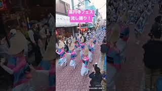 高円寺フェス　菊水連流し踊り