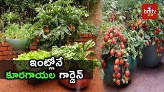 Container Vegetable Garden | Container Garden Culture In Cities | hmtv Agri