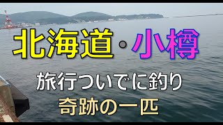 【Vlog】北海道・小樽の観光ついでに釣り。制限時間30分で奇跡の一匹・・・