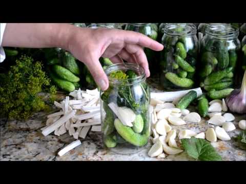 How to make Polish-style pickled cucumber.Ogork kwaszony. How to make Polish-style pickled cucumber.Ogork kwaszony.