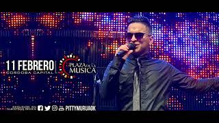 17 El Engomado - El Parlanchin -  Pitty Murua - Plaza de La Musica (11-02-2017)