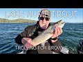 Lake Hume Trout-Trolling For Browns