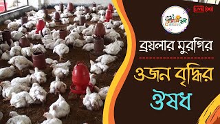 ব্রয়লার ও সোনালি মুরগির ওজন বাড়ানোর ঔষধ || Broiler Boost || Eon Animal Health Products