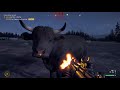 Far Cry 5 - Bull mating and Ingredients for Testy Festy