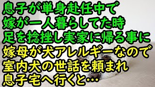 【修羅場】息子が単身赴任中で嫁が一人暮らしてた時に足を捻挫し実家に帰ることに→嫁母が犬アレルギーなので室内犬の世話を頼まれ息子宅へ行くと…【スカッと 修羅場 朗読 まとめ】