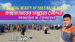 কক্সবাজার শহরের সকালের ও বৈকালের সৌন্দর্য /The beauty of Cox's Bazar beach is Bangladesh !!vlogs,147