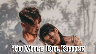Tu Mile Dil Khile | Stebin Ben | Asees Kaur | Larissa B | Latest Hindi Song 2023