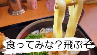 徳島のうどんから始める物語！ #63杯目 こがね製麺所