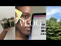 HOME VLOG, AMAZON BUYS, BATTLE OF THE BEES & MORE | MORGANN FLOWERS