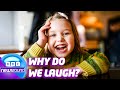 Why Do We Laugh? The Amazing Science Explained 💀 | Newsround | News For Kids