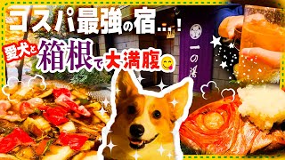 【犬と泊まれる箱根の宿】仙石高原大箱根一の湯がコスパ最強！！【大型犬OKドッグラン有】