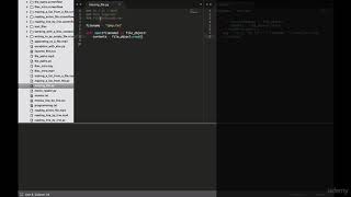 5. The FileNotFoundError Exception