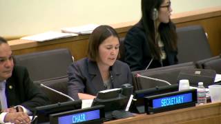 The 4th Committee of the UN General Assembly