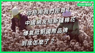 多家品牌「拒用新疆棉」引爆中國抵制潮！但為何去年的聲明會被翻舊帳？【TODAY 看世界】