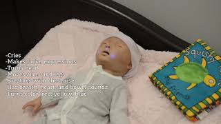 Simulation Orientation