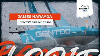 Surfing on the Atlantic for Gentoo Sailing