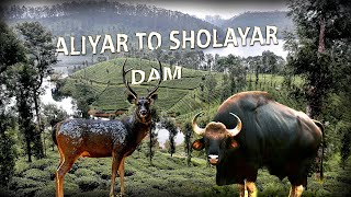 ALIYAR TO SHOLAYAR DAM