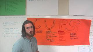 Cups Editing strategy