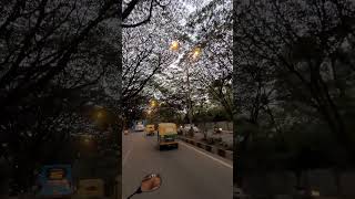 Evenings In Bangalore!!! #bangalore #bengaluru #travel #roadtrip #travelvlog