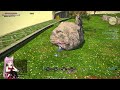 りんちゃんのff14 ダイポンさまあああ