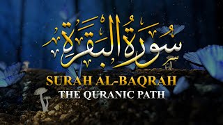 Surah Baqarah Full English Translation With Arabic Text The Quranic Path 02- سورة البقرة