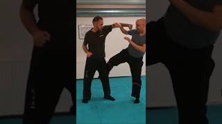 Block and kick at the same time. #martialarts #kungfu