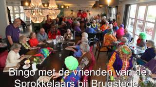 carnaval 2015 Sprokkelaars Lemelerveld