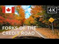 Fall Ambience: Scenic Drive through Forks of the Credit Road in Caledon, ON (4K 60fps)