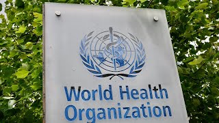 World Health Organization holds coronavirus briefing