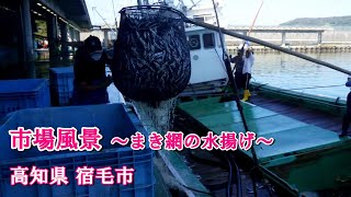 【市場風景】すくも湾中央市場（高知県 宿毛市）