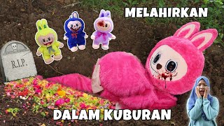 LABUBU HAMIL MELAHIRKAN DI DALAM KUBUR | CHIKAKU FAMILY