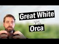 The difference between Great White and Orca