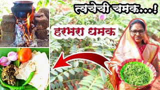 नाजूक त्वचेची चमक वाढवणारी चुलीवरची हरभरा भाजी | Harbharyachya Panachi Bhaji | Gavakadchi Chul