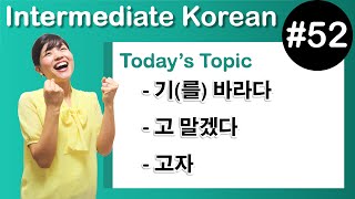 [Learn Korean I５２]  ”–기(를) 바라다 ” , ” –고 말겠다” , ”–고자”