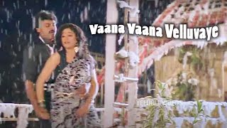 Vaana Vaana Velluvaye Full Movie Song || Chiranjeevi, Vijayashanthi || Telugu Videos
