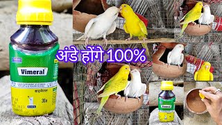 Vimeral for Budgies Bird full formula Hindi /  🤫🦜 /